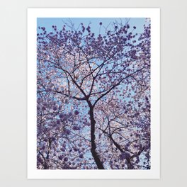 Pink Spring Tree Art Print