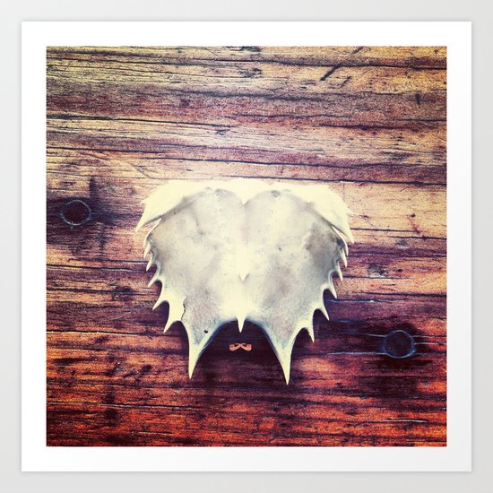 Crustacean Armour. Art Print