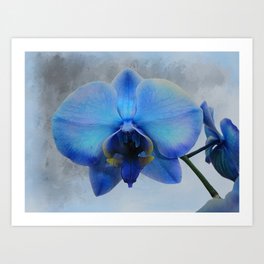 Blue Orchid Art Prints For Any Decor Style Society6