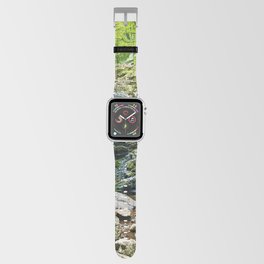 Waterfall in the Valley Apple Watch Band
