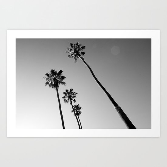 palms Art Print
