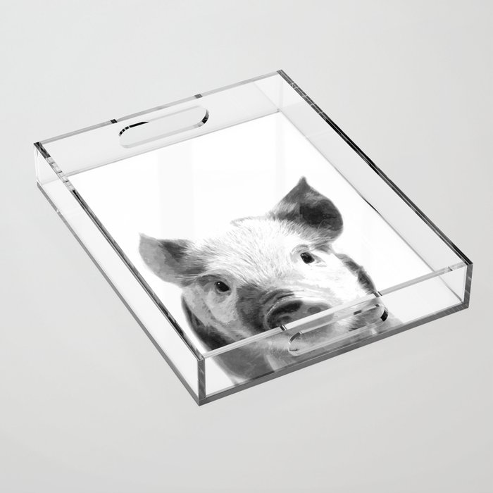 Black and white pig portrait Acrylic Tray