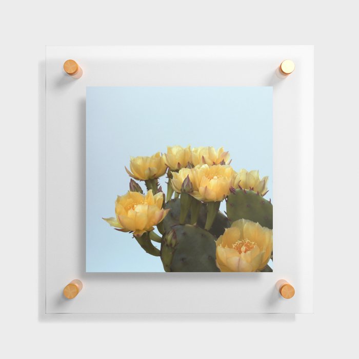 Prickly Pear #3 Floating Acrylic Print
