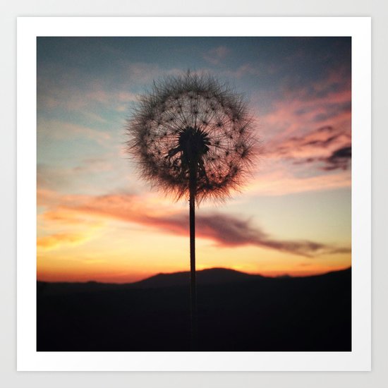 Just Dandy - Square Art Print