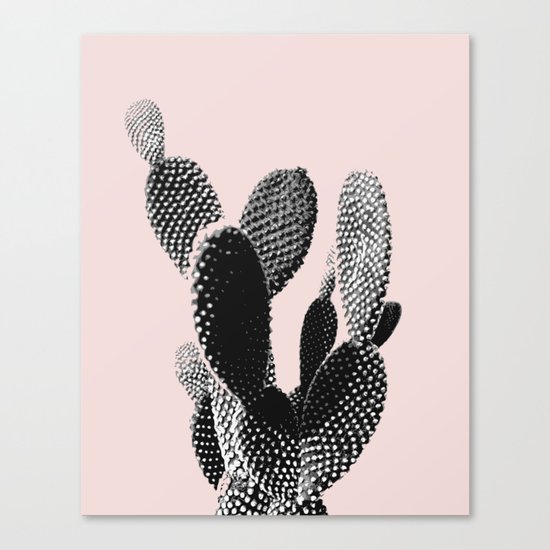 cactus plant in pink Canvas Print