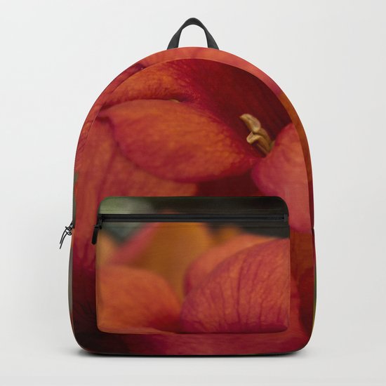 Bignonia Flowers. Photography . Backpack