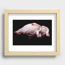 Flamingo Couple Recessed Framed Print
