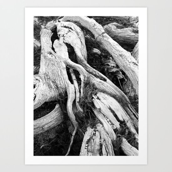 our roots go deep. Art Print