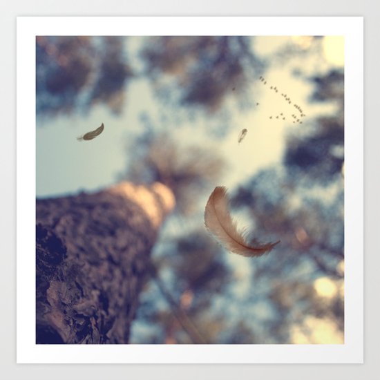 Gift from above Art Print