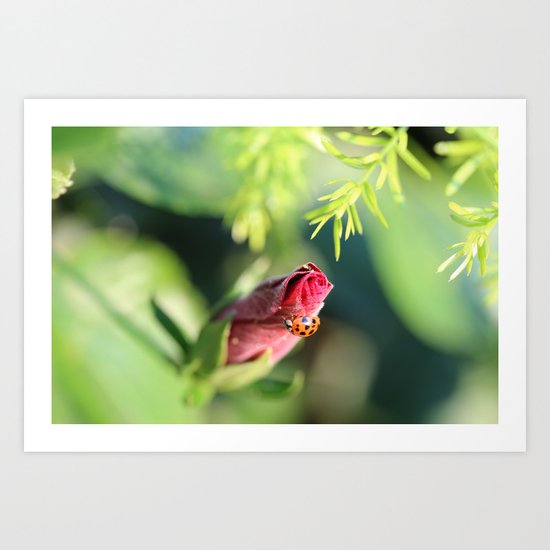 Lady Art Print