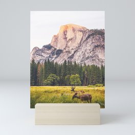 Mountain National Park Mini Art Print