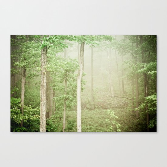 The Beauty of Ordinary Things Canvas Print