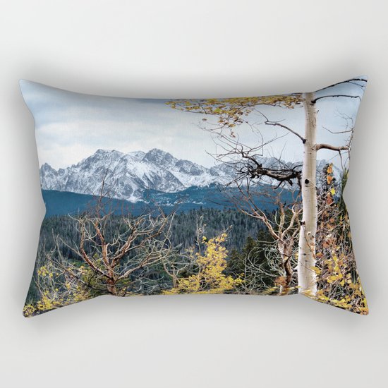Existing Rectangular Pillow
