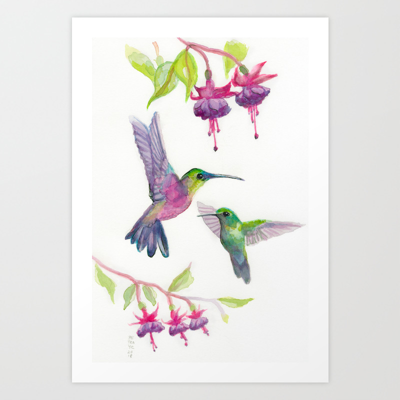 Hummingbirds Watercolor Birds Art Painting Art Print By
