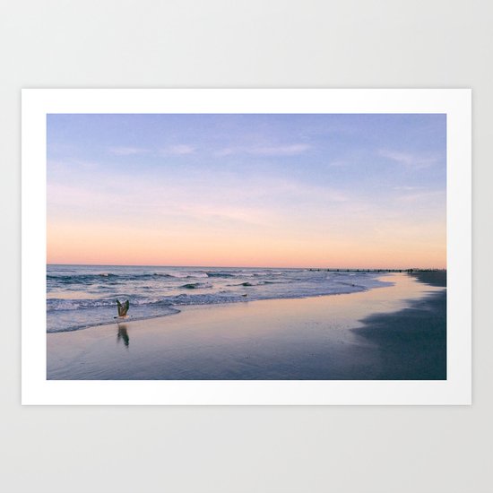 Taking Flight Art Print