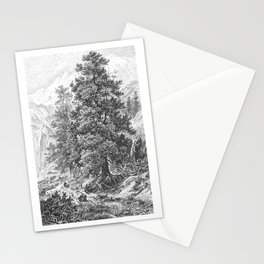 Vintage Tree 1800s Swiss Pine Tree   Stationery Card