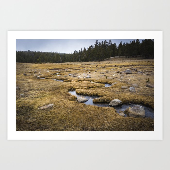 A little creek in a Big Meadow Art Print