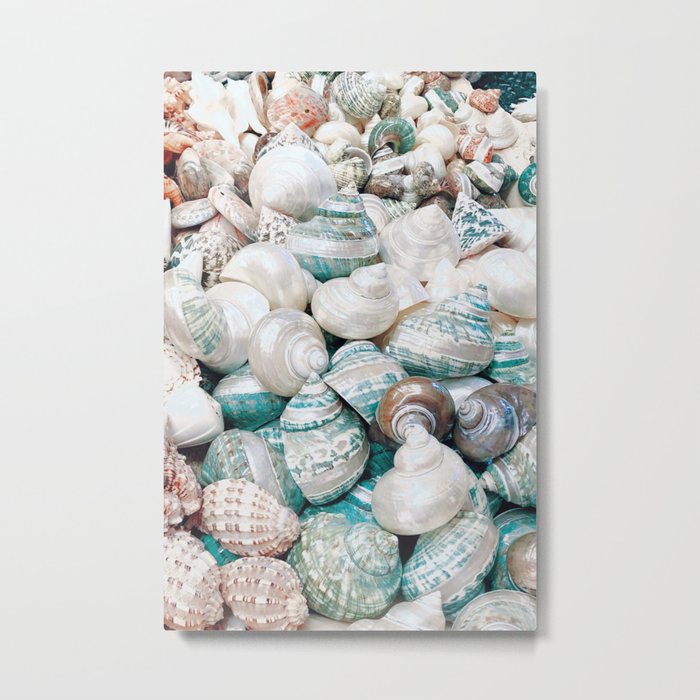 Beach Sea Shells, Summer Time Metal Print