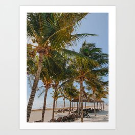 palm trees cxxvii / cancún, méxico Art Print