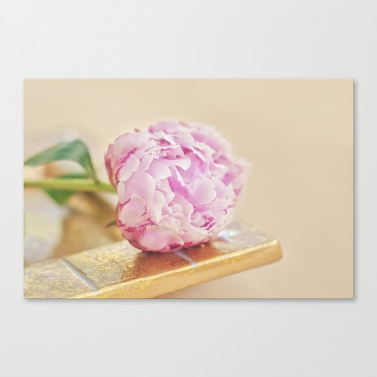 PEONY WITH GOLD Canvas Print