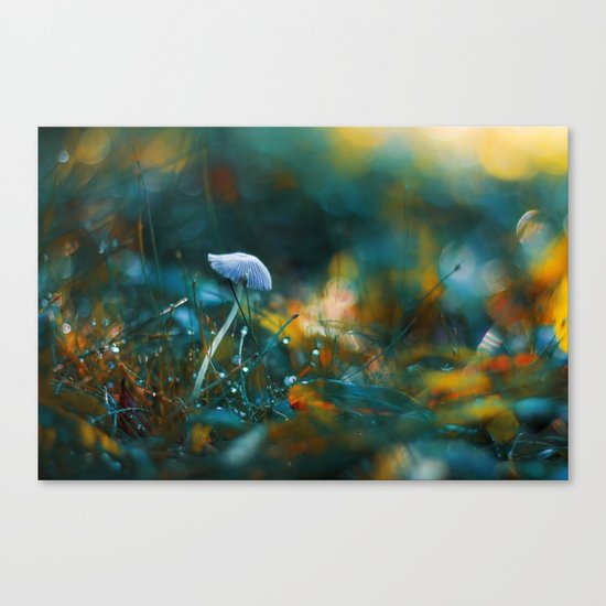 Falling to the Flames Canvas Print
