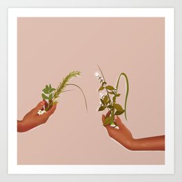  Herbs Art Print