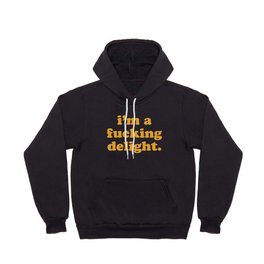 I'm A Fucking Delight Funny Offensive Quote Hoody