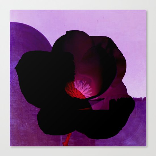 fleur noire Canvas Print