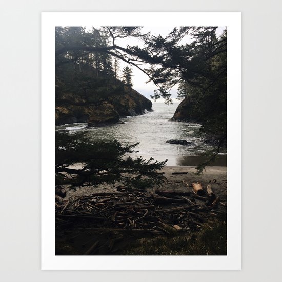Between the Trees Art Print