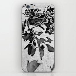 Birds 1 iPhone Skin