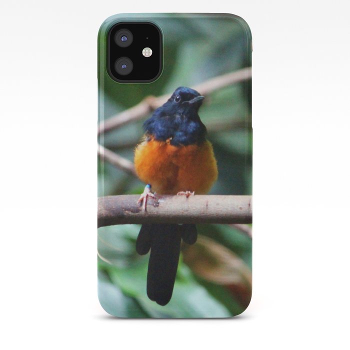Orange Bird iphone 11 case Orange Bird iphone 11 case