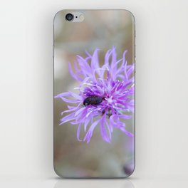 Beetle on Purple Wildflower iPhone Skin