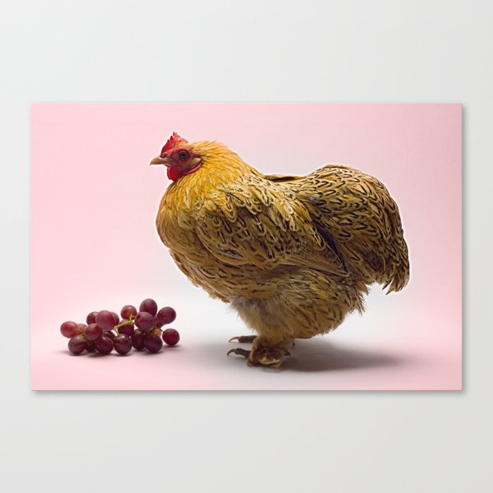 The Chicken Canvas Print
