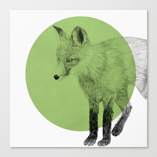 fox Canvas Print