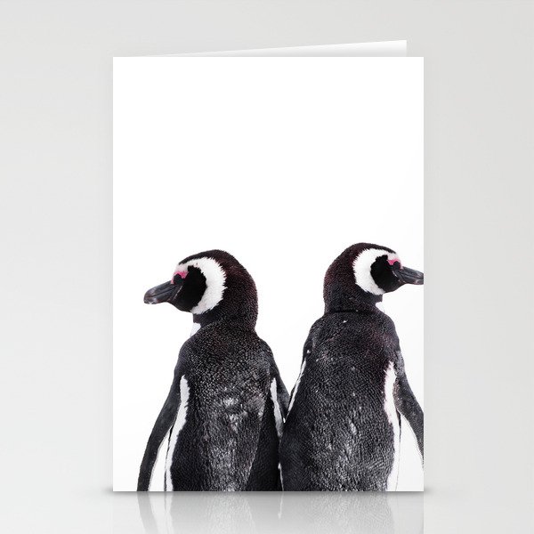 Cute Magellanic Penguin Couple White Background Stationery Cards
