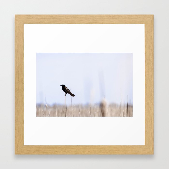Bird Watch Framed Art Print