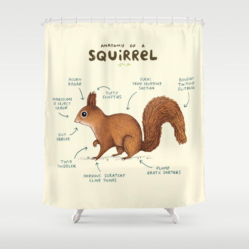 Anatomy Of A Squirrel Shower Curtain By Sophiecorrigan Society6