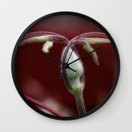 Clematis bud Wall Clock