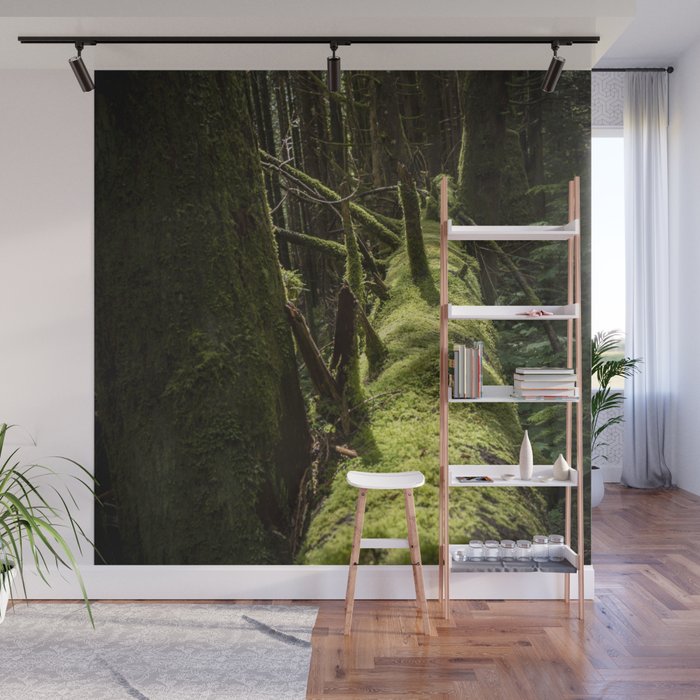 Fallen Forest Wall Mural By Richardlawrence - Forest Wall Murals Fallen Forest Wall Mural By Richardlawrence - Forest Wall Murals