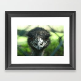 Eye to eye with an ostrich Framed Art Print
