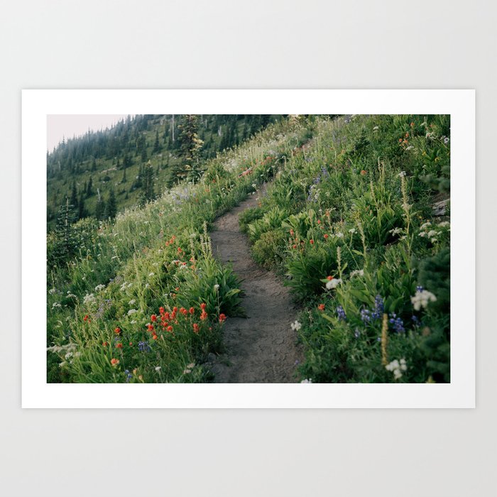 Wildflower Hike Art Print