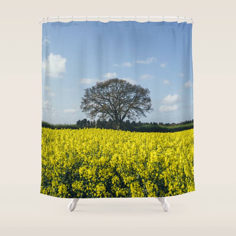 Field Of Rapeseed Canola And Tree Against A Sunlit Blue Sky