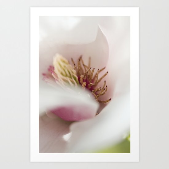 Macro Of A Tulip Tree Blossom Art Print