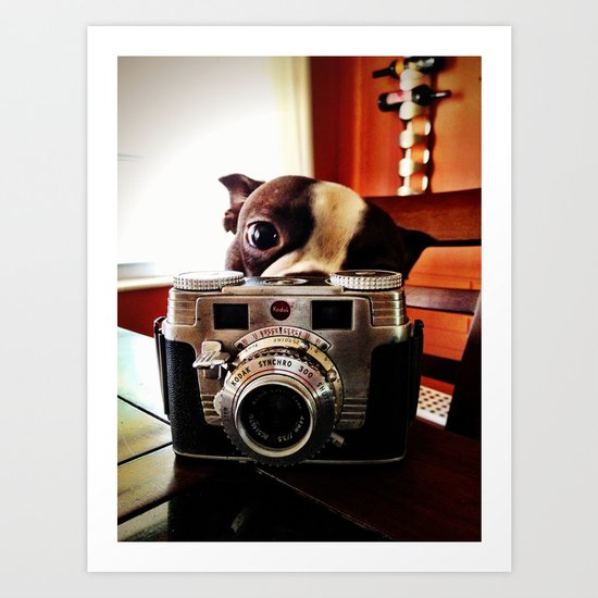 Terrier has an eye for photography Art Print