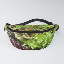 Greens Fanny Pack | Farmersmarket, Lettuce, Food, Greens, Digital, Farm, Color, Photo, Organic 
