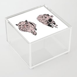 Pinky the Pig Acrylic Box