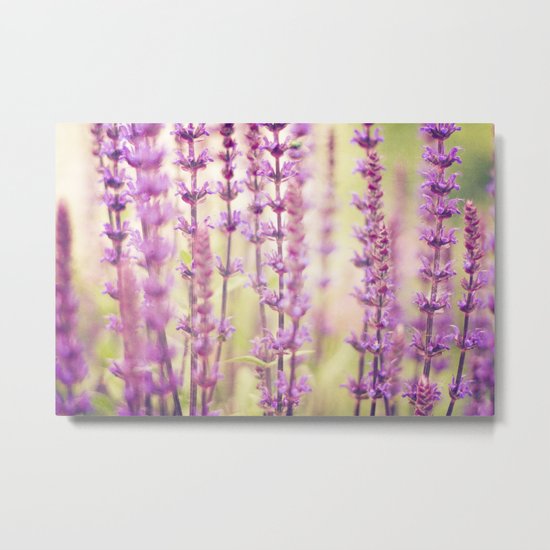 In The Garden I See... Metal Print