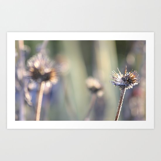 transubstantiation Art Print