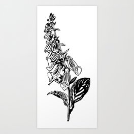 wild flower: digitalis purpurea Art Print