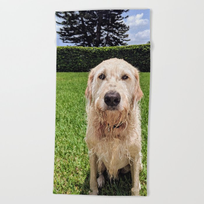 Dog Daze Beach Towel